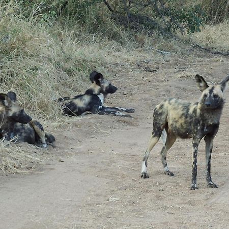 فندق Ndzuti Bush Camp بالول جيم ريسيرف المظهر الخارجي الصورة
